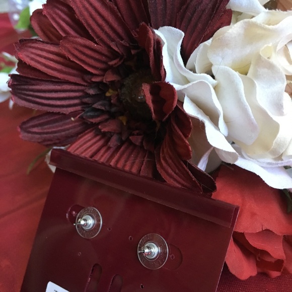 Premier Designs Earrings - Picture 3 of 3